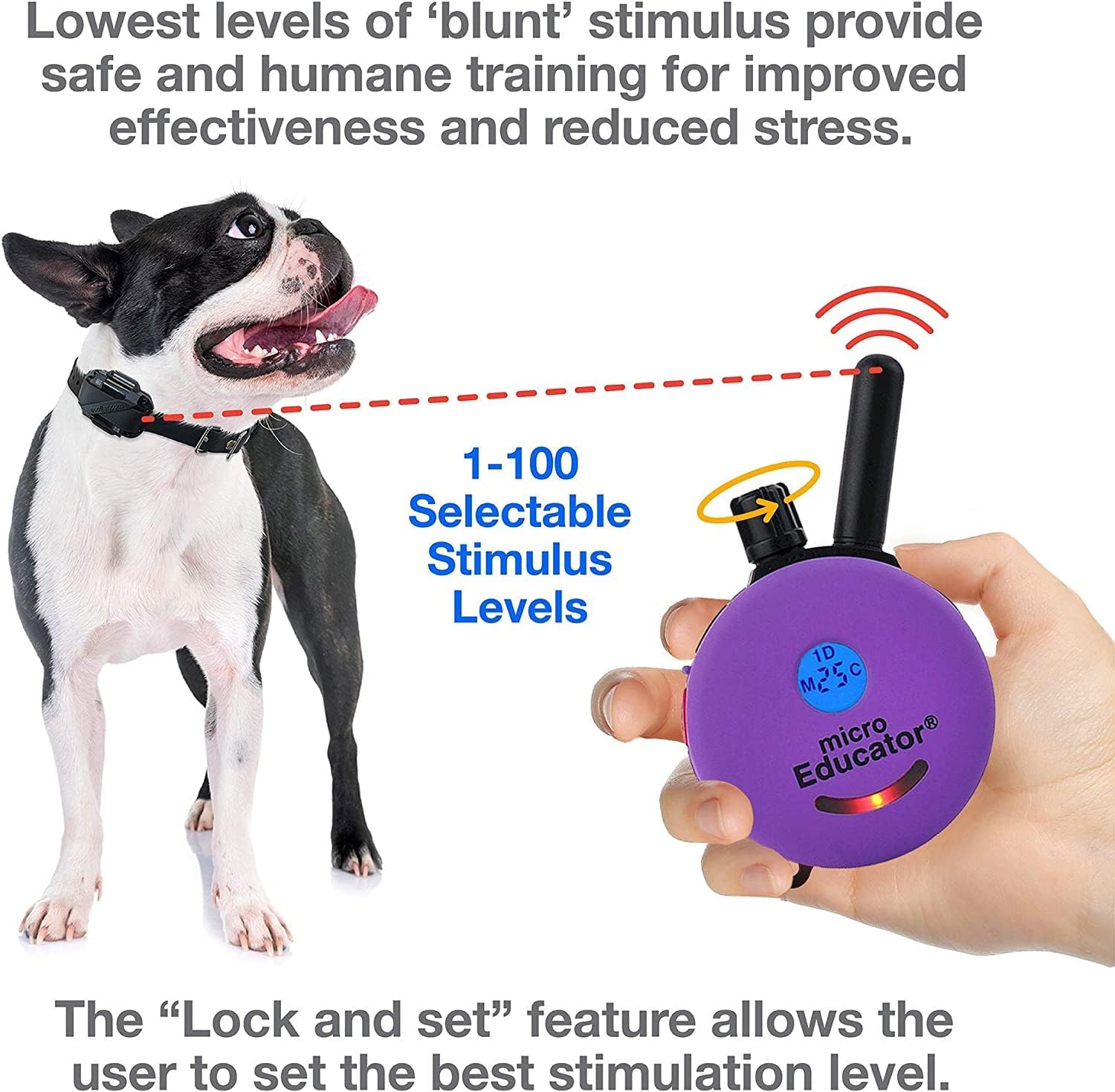 Humane Dog Training Collar with Remote, Features 100 Levels of Safe Stimulation, Tapping Sensation, Night Light, Waterproof, Rechargeable, 1 Mile 1 Dog, Black