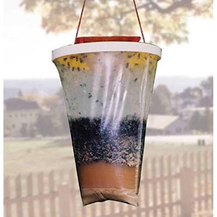 Flies Be Gone Non Toxic Fly Trap (12-Pack)