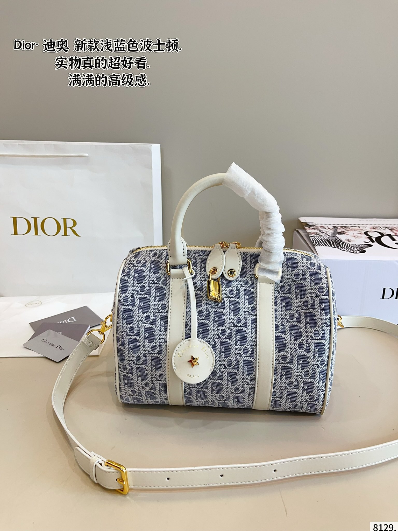 Dior Groove Boston Pillow Bag - cnluxepick