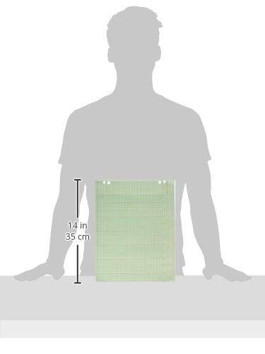 Wilson Jones - Accounting Sheets, 20 Columns, 11