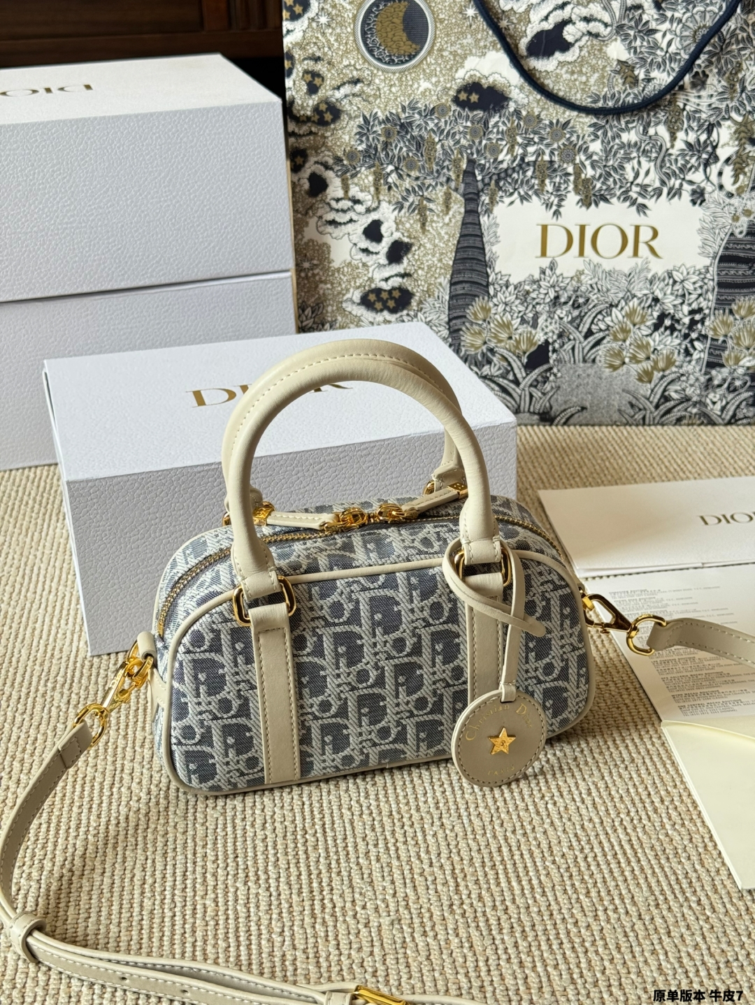 Dior Mini Handbag Shoulder Crossbody Bag - cnluxepick