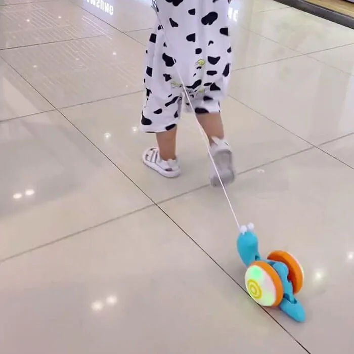 Funny Walking Crab/ Snail/ Octopus Toy