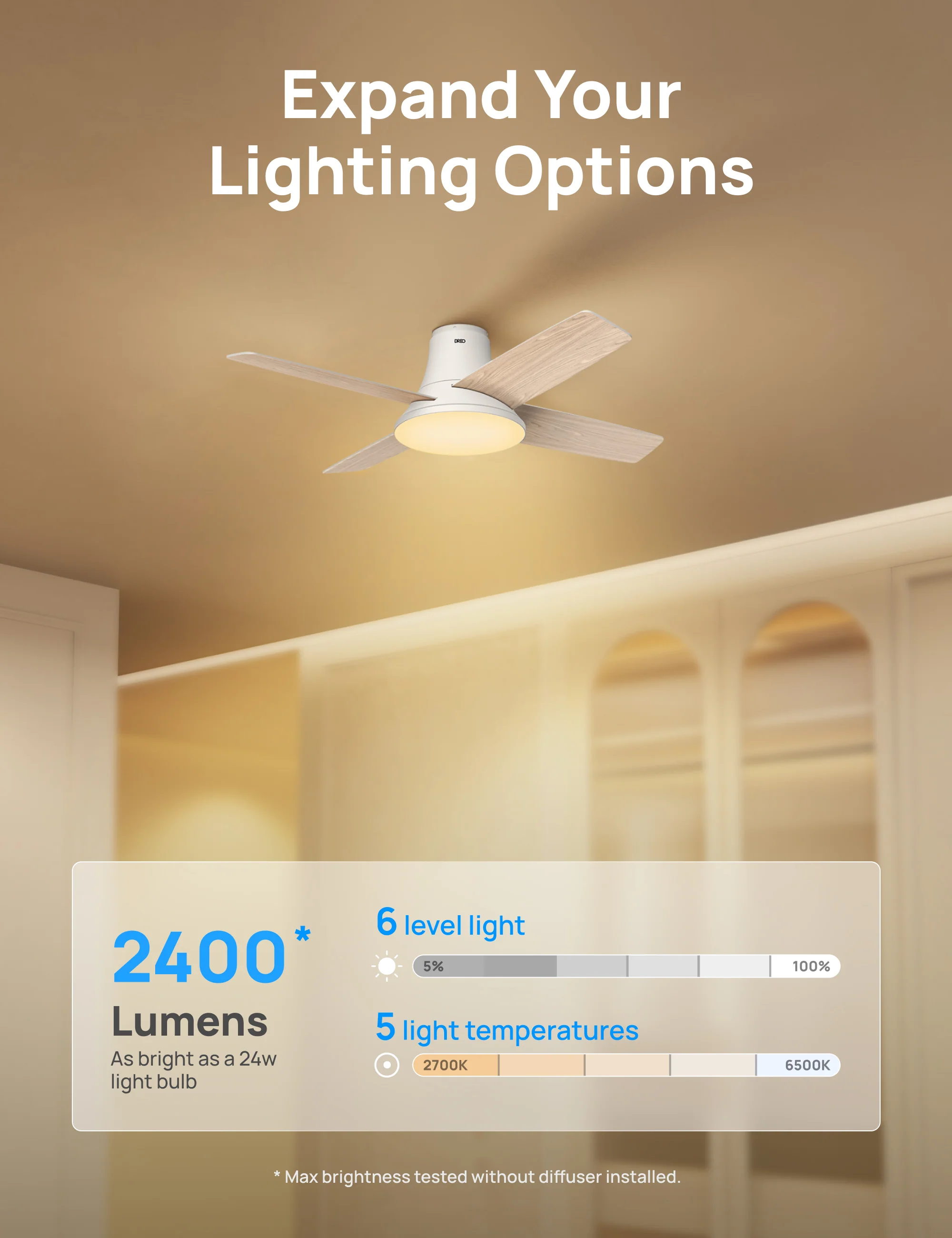 Ceiling Fan CLF513