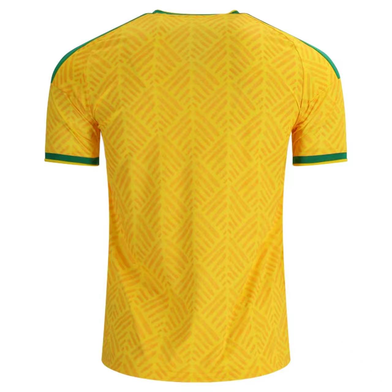 South Africa 26/27 season home kit
