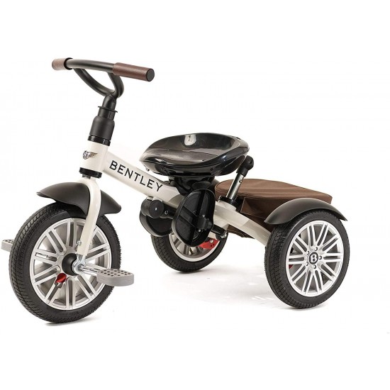 6-in-1 Baby Stroller/Kids Trike