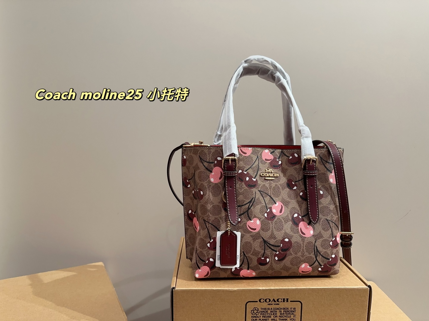 Coach moline25 small tote - cnluxepick