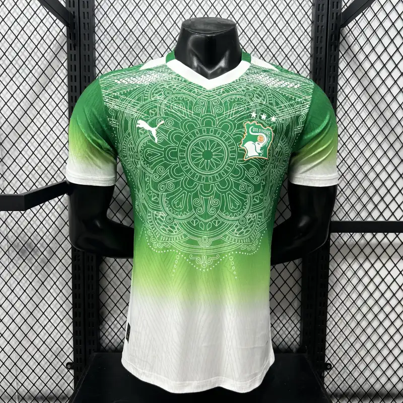 Player Version Côte d'Ivoire 2026 Special Jersey - Green