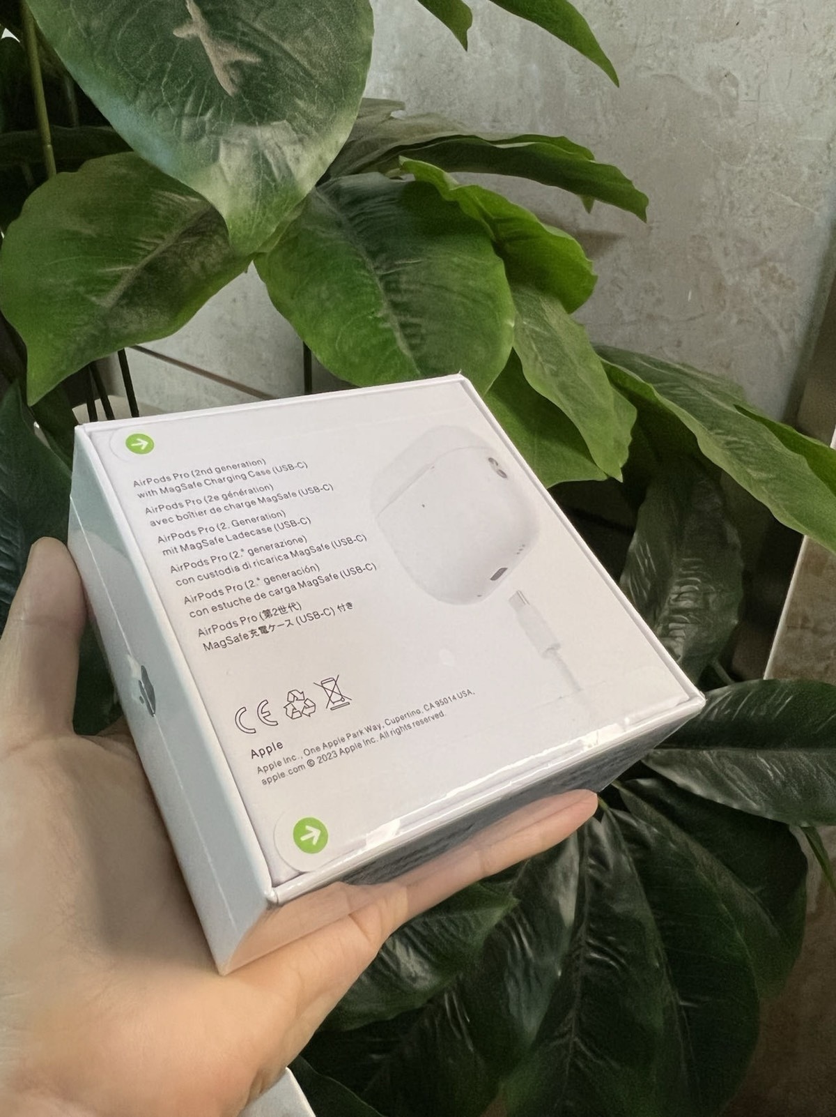 Apple AirPods Pro (USB-C)