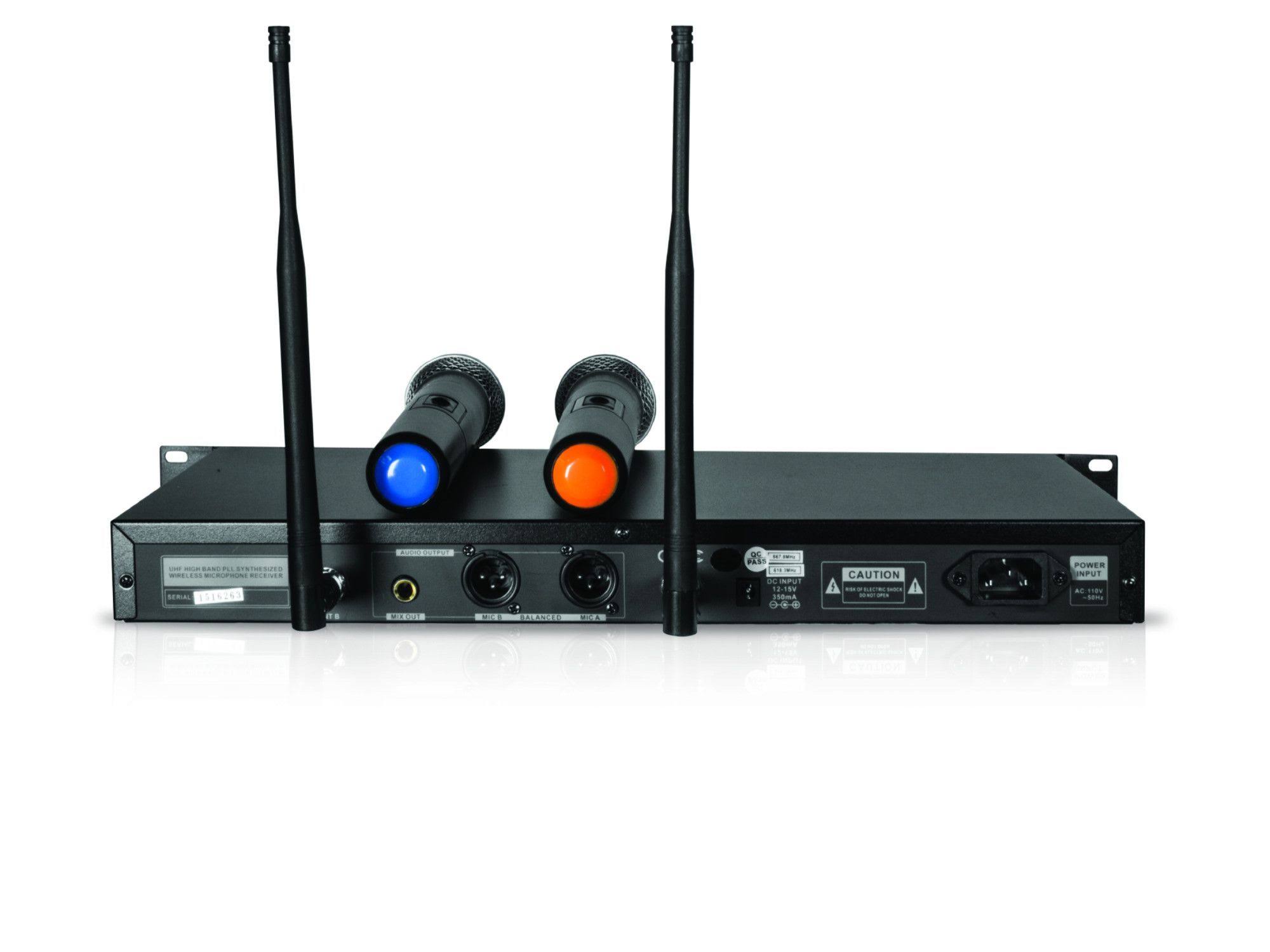 Technical Pro WM1302 Professional UHF Dual Wireless Microphone System