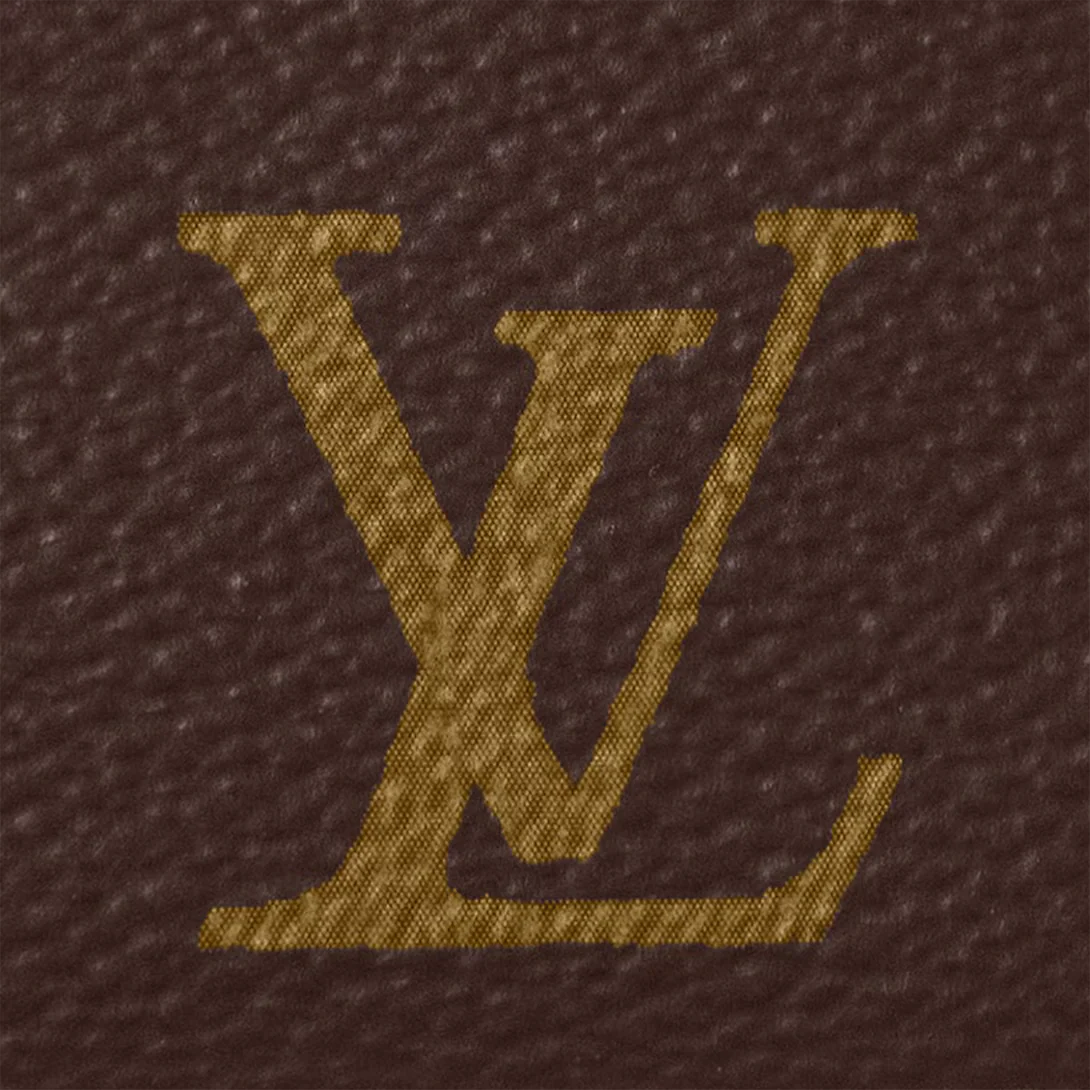 Louis Vuitton Monogram Canvas Pochette Accessoires - Dark Brown