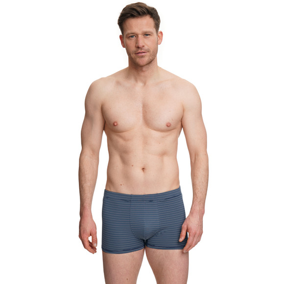 VanVaan Herren Mikrofasershorts mit Streifen