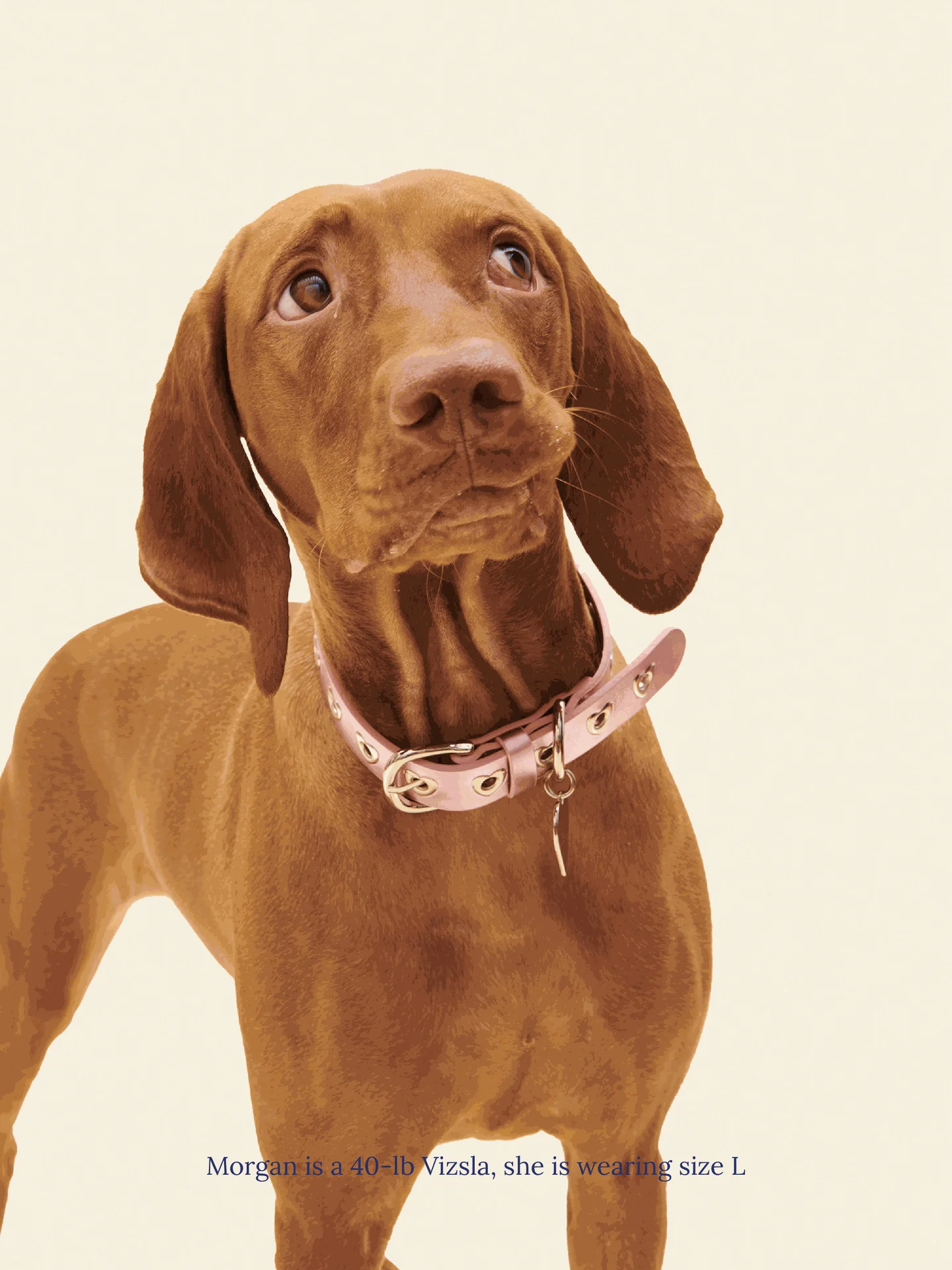 You Mean The World To Me Collar - Metallic Pink