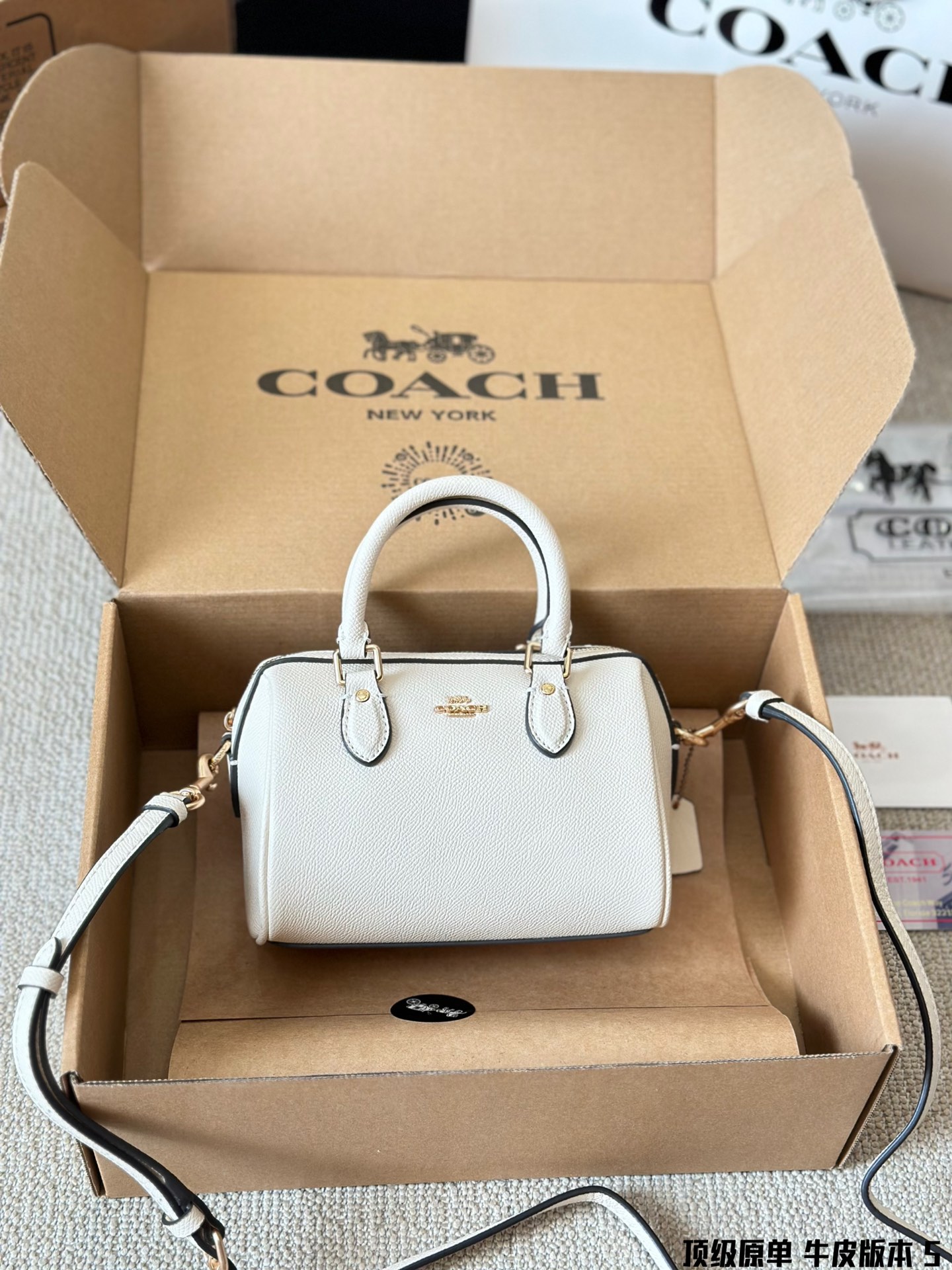 Coach mini Rowan pillow bag - cnluxepick