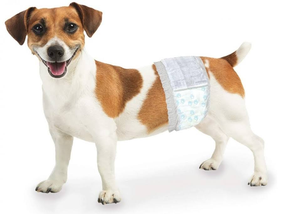 108 Count (3 x 36 ct) Four Paws Wee Wee Disposable Male Dog Wraps X-Sm