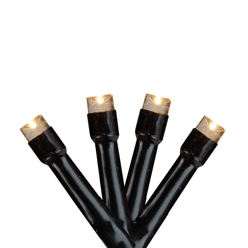 Northlight Battery Operated LED Wide Angle Christmas Lights - Warm White - 9.5' Black Wire - 20ct