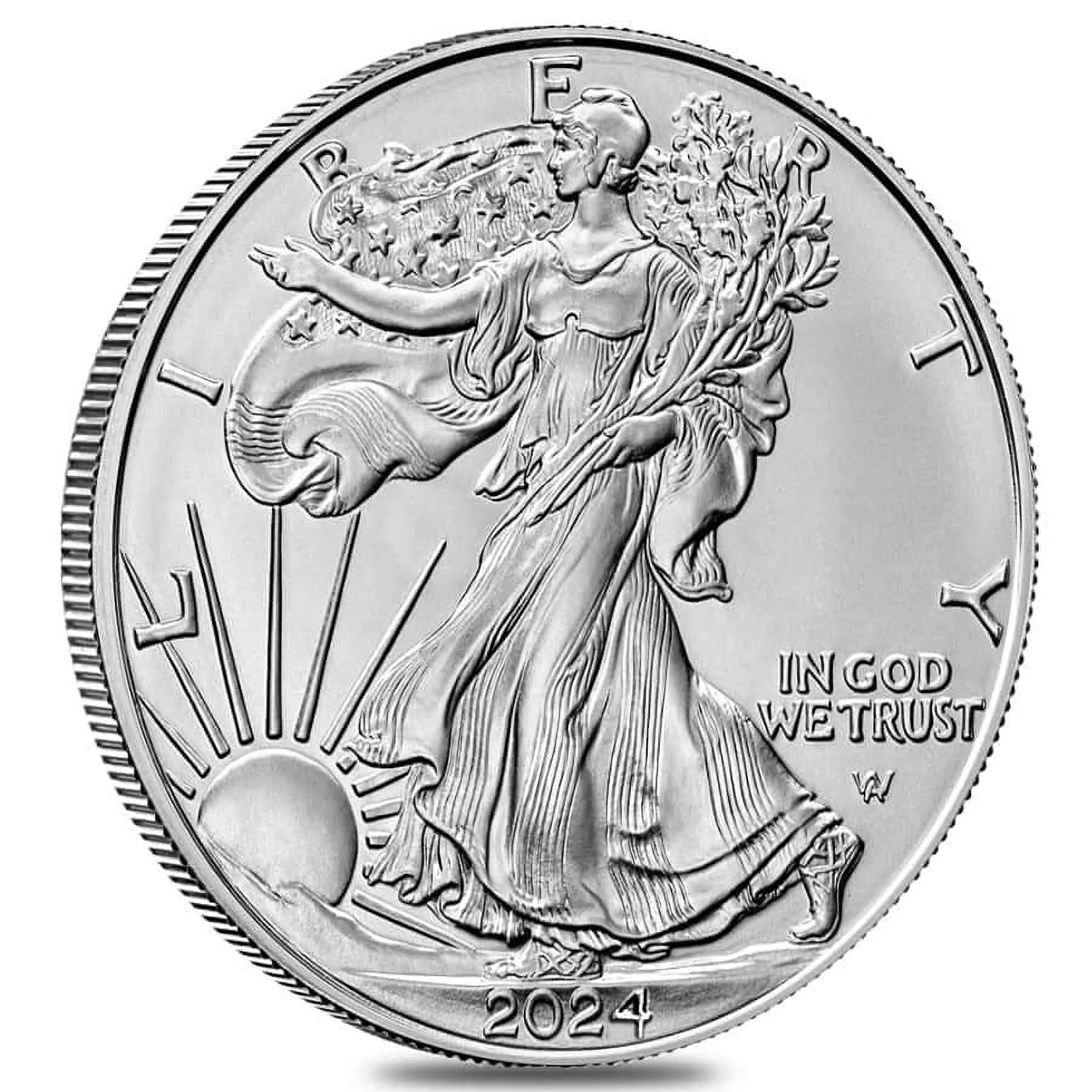 Lot of 100 - 2024 1 oz Silver American Eagle $1 Coin BU