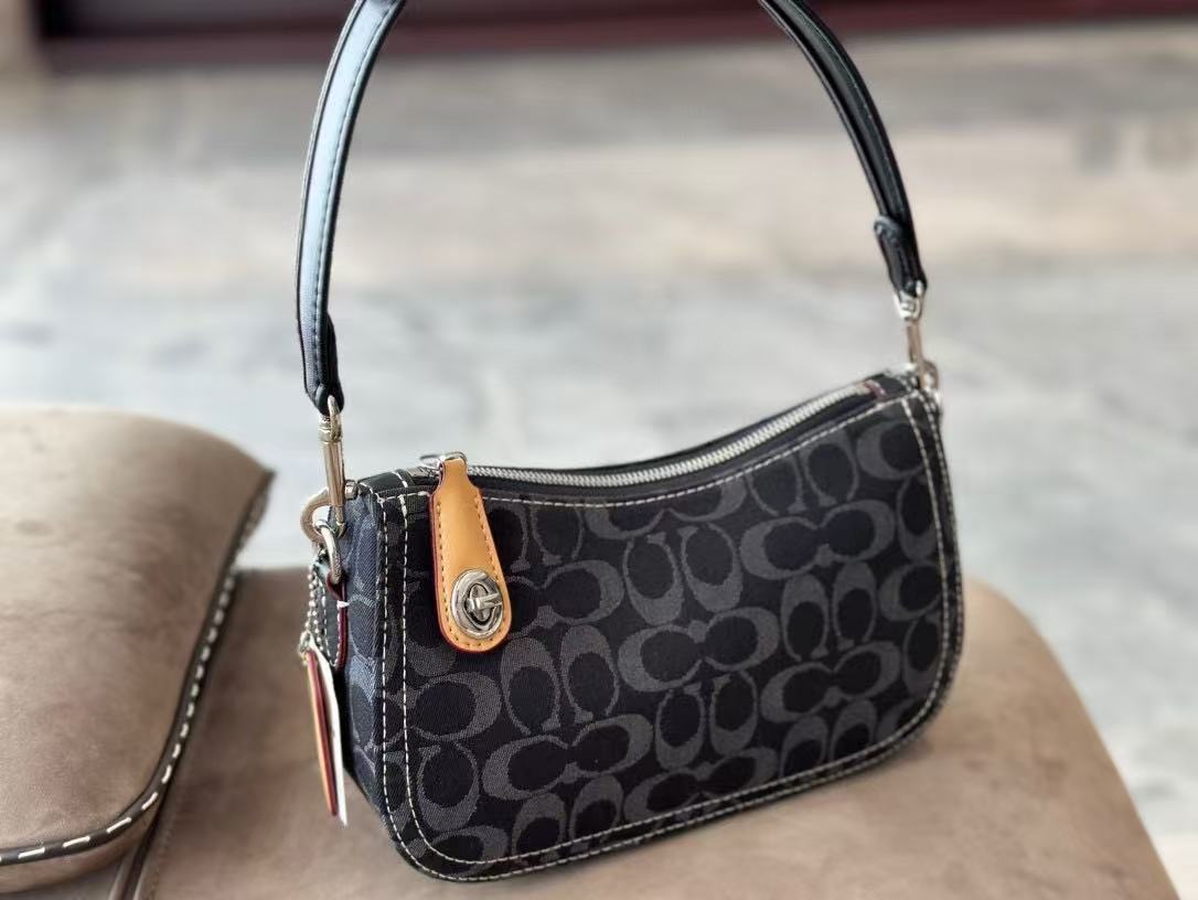 Coach Swinger20 Underarm Bag - cnluxepick