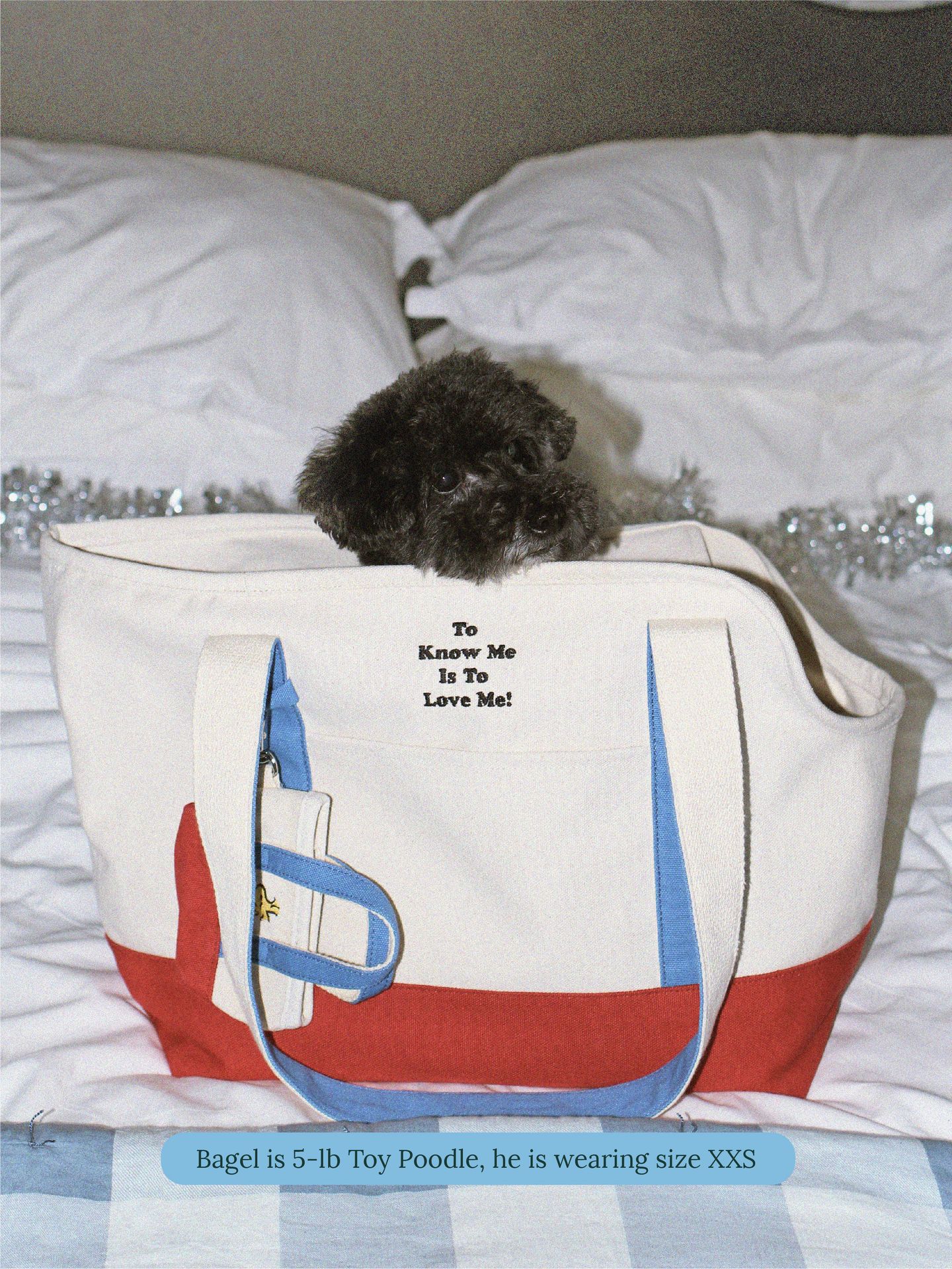 To Love Me Tote Bag - PEANUTS
