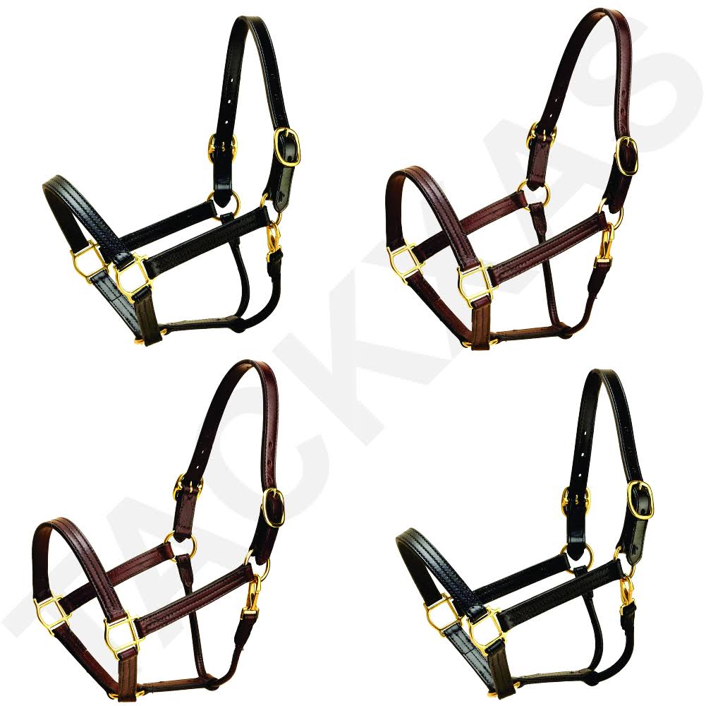 Havana COB Tory Leather Triple Stitched Halter Rolled Snap Throat Fixed