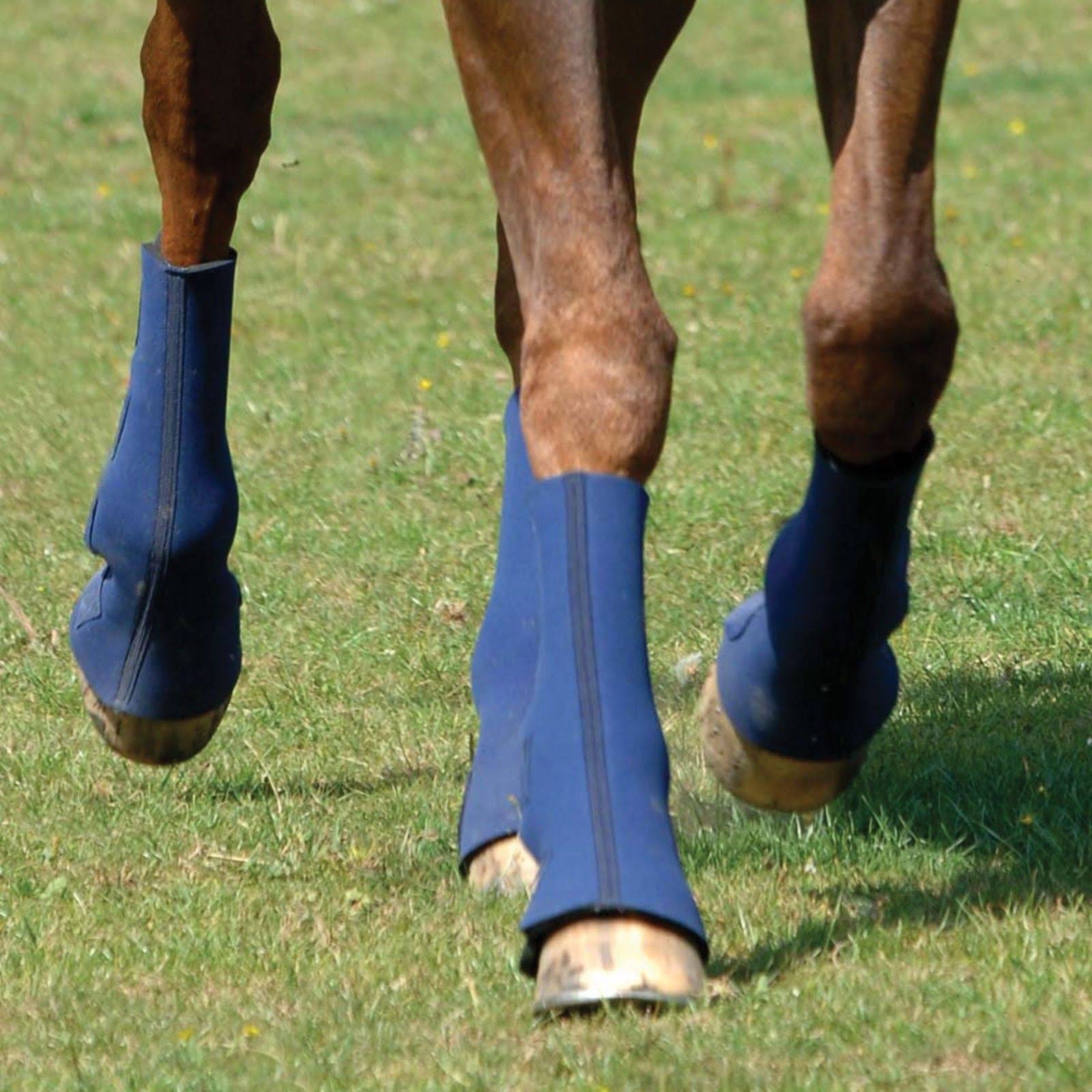 Equilibrium Equi-Chaps Hardy Chaps