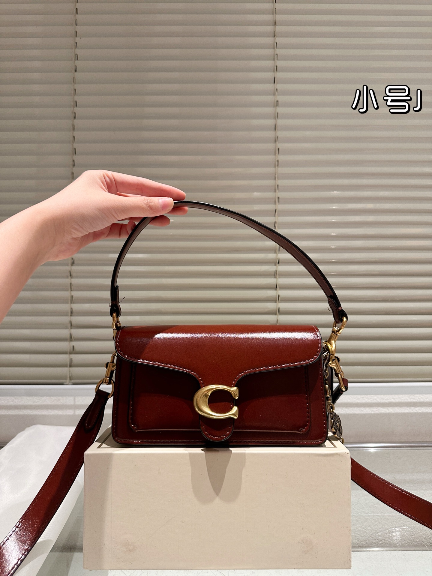 Coach Dionysus Tabby bag - cnluxepick