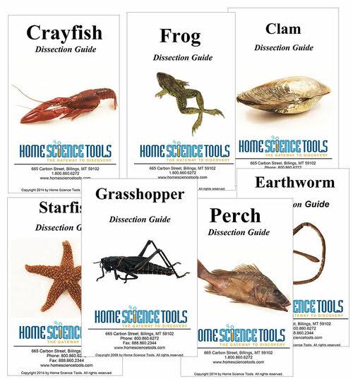 Intermediate Dissection Kit | Home Science Tools