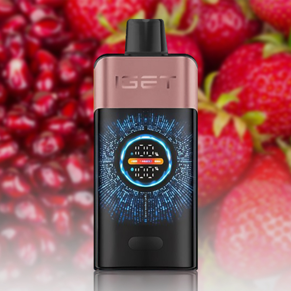 IGET ONE 12000 Puffs Disposable Vape|3-5-10pcs