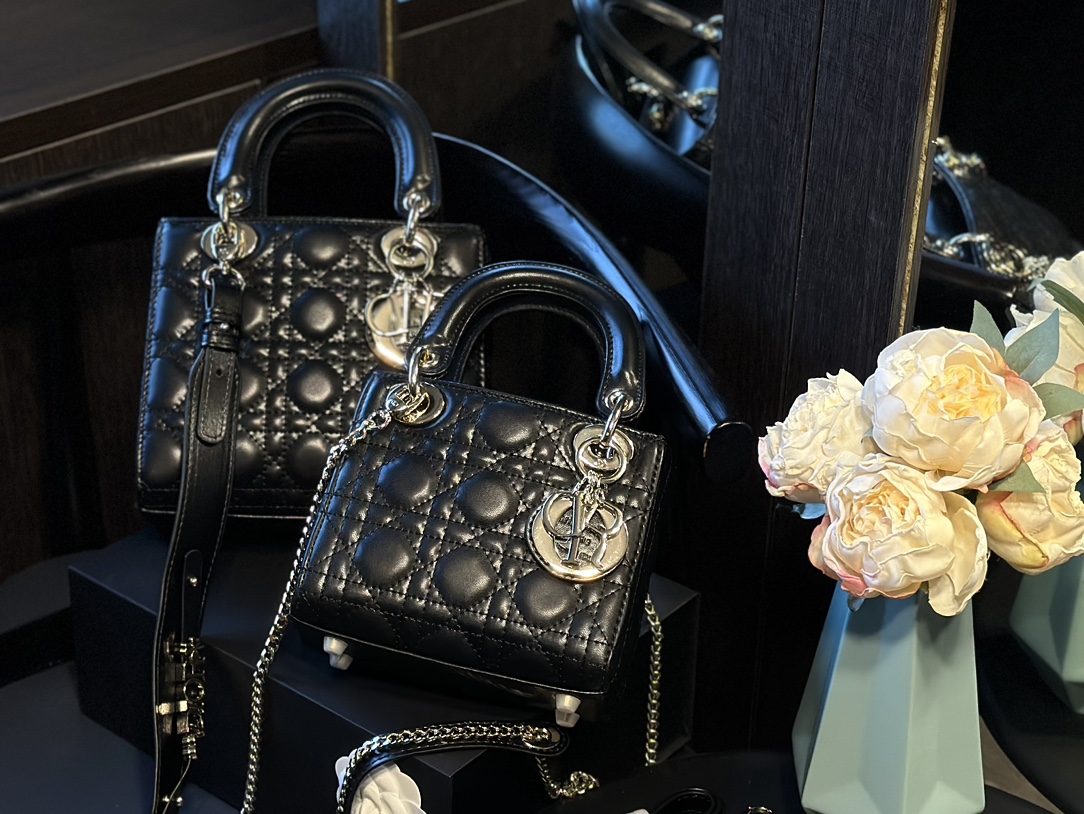 Dior Lady bag Silver buckle - cnluxepick