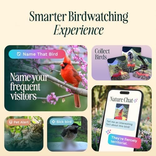 Solar Smart Bird Feeder with Camera – AI Bird Species Identification, 5MP Photos, 2K HD Video Live Stream Camera, Slow-Motion Video, 2.6in Focus – Blue Solar