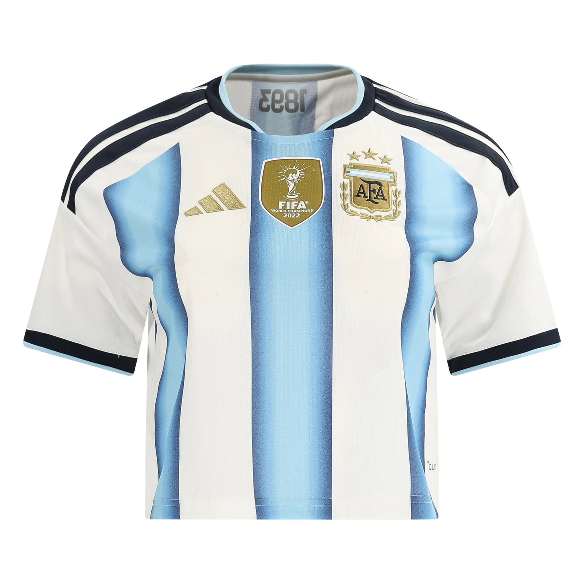 Argentina 26-27 Home Cropped Jersey
