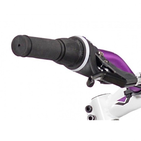 26″ Whirlwind Women’s Mountain Bike, Gray