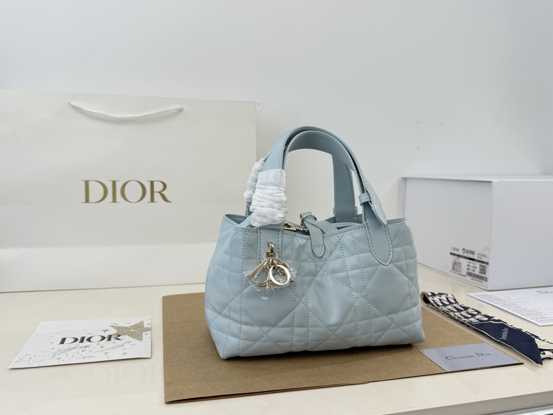 Dior Toujours handbags - cnluxepick