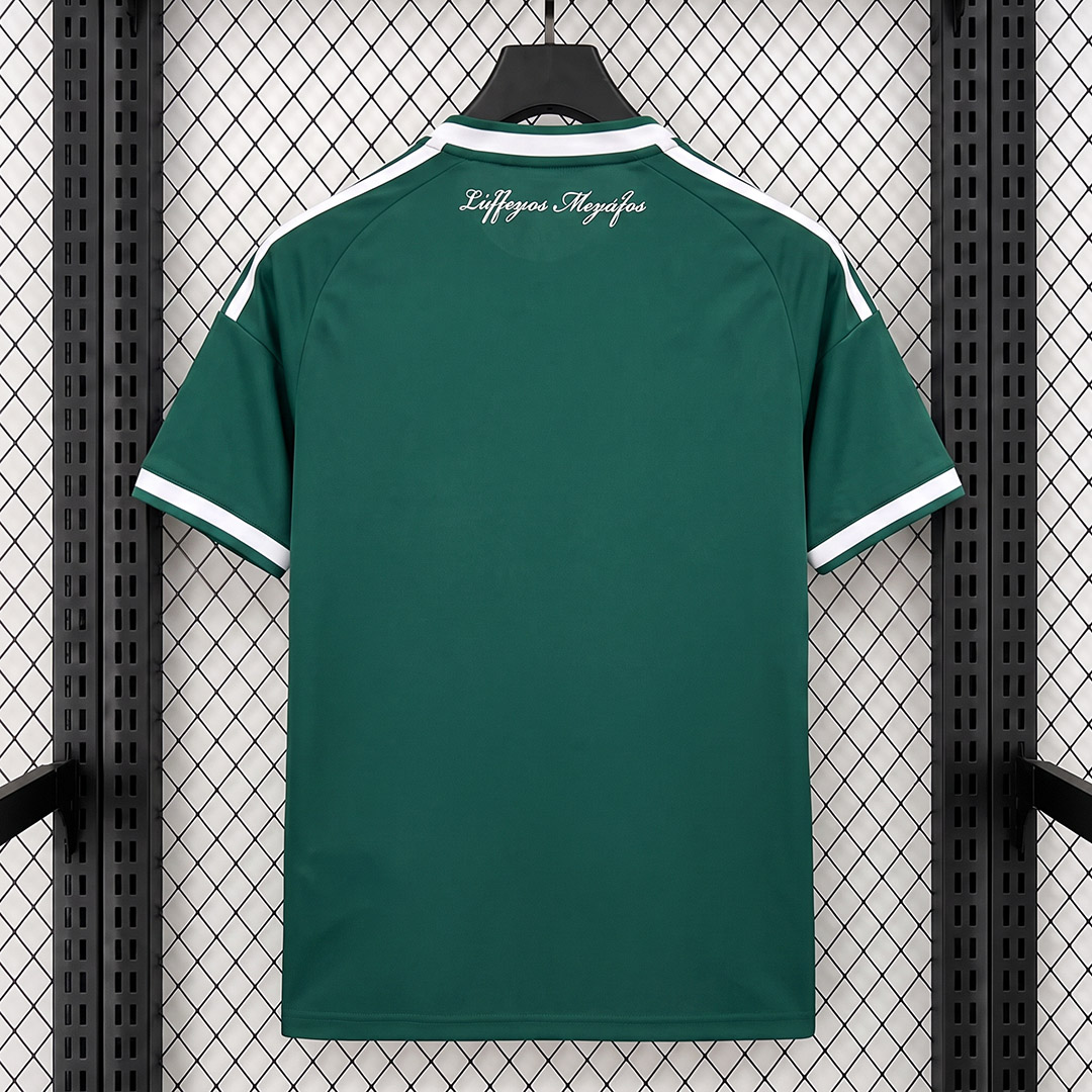 Panathinaikos F.C. 26/27 Away Jersey S-XXL Fan Version