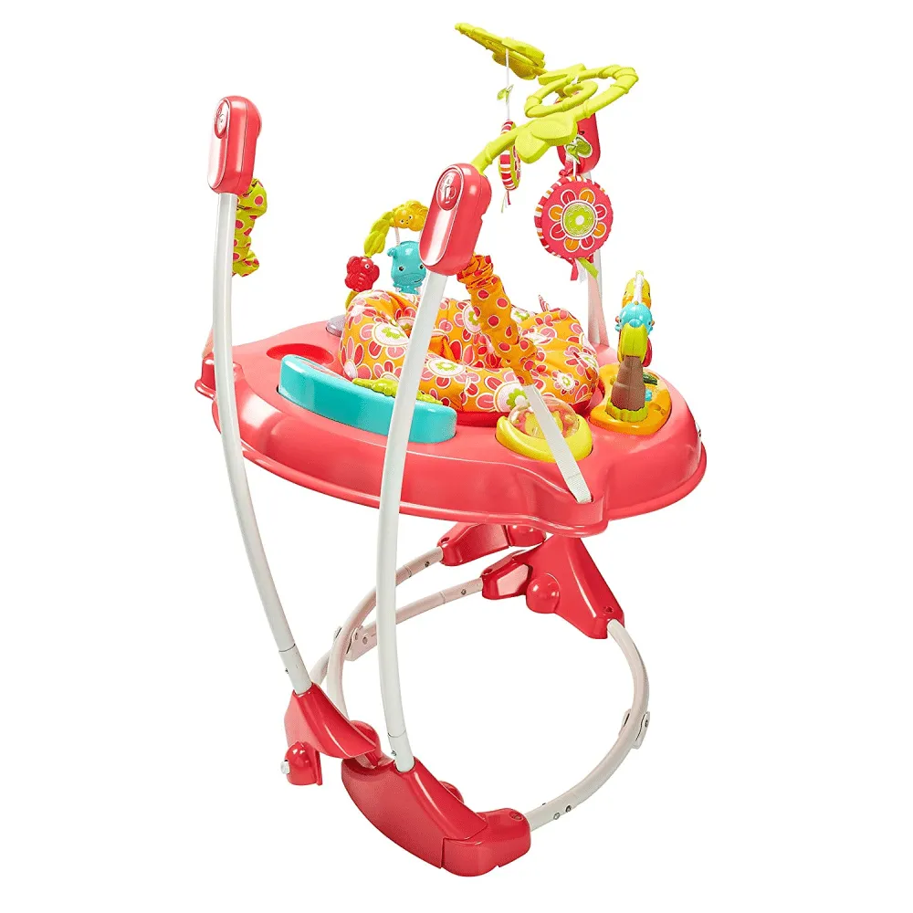 Fisher-Price Jumperoo, Pink Petals