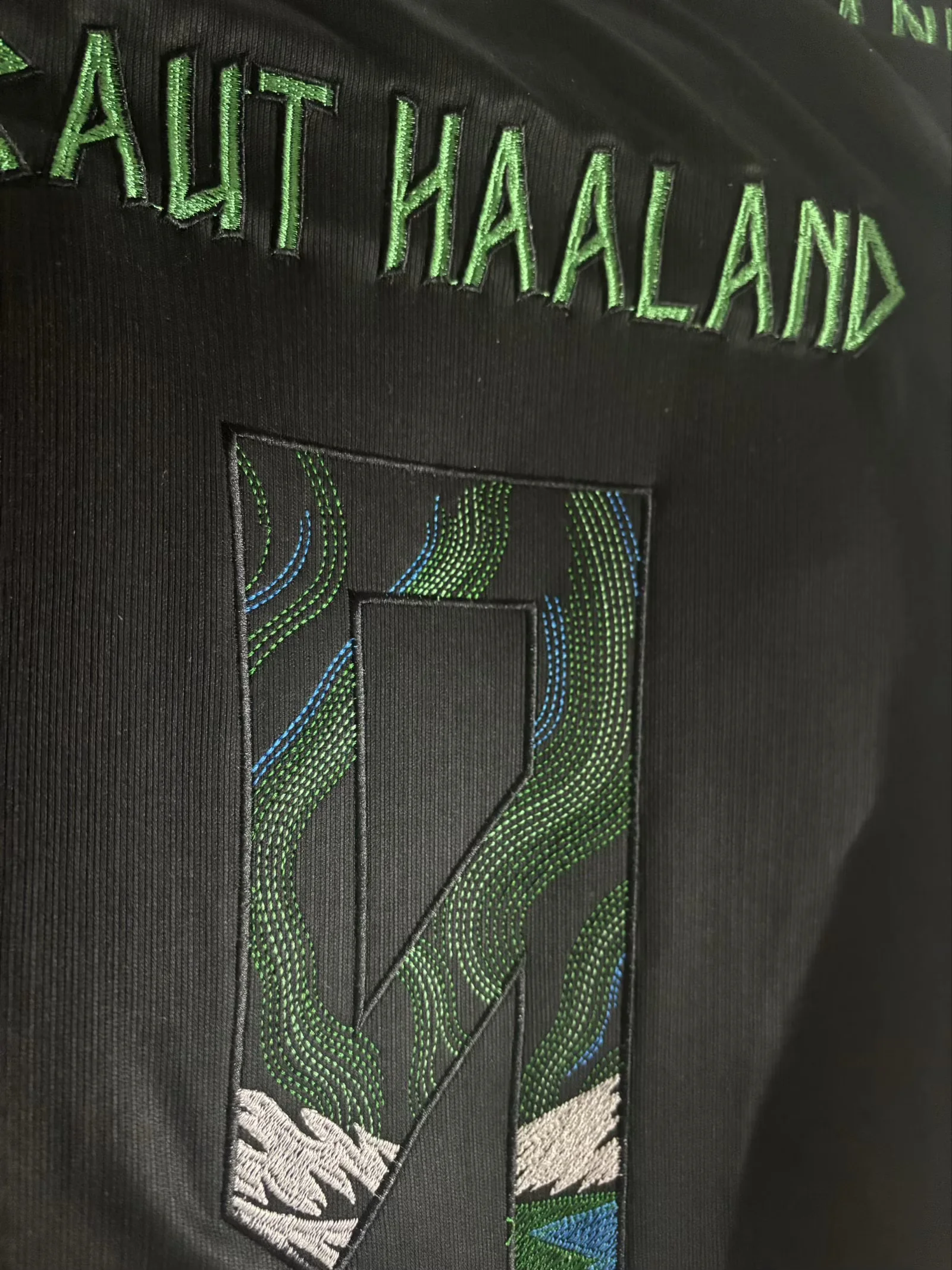 BRAUT HAALAND #9 Norway 2026 Home Embroidered Jersey S-XXL Fan Version(No Front Number) 3