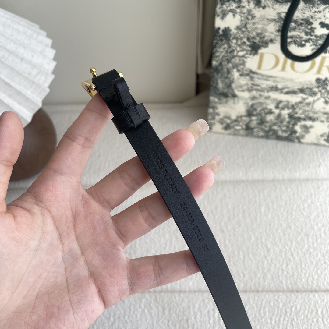 Dior belt - cnluxepick