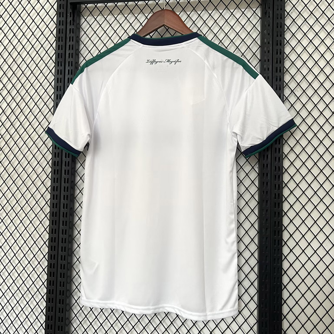 Panathinaikos F.C. 26/27 Home Jersey S-XXL Fan Version