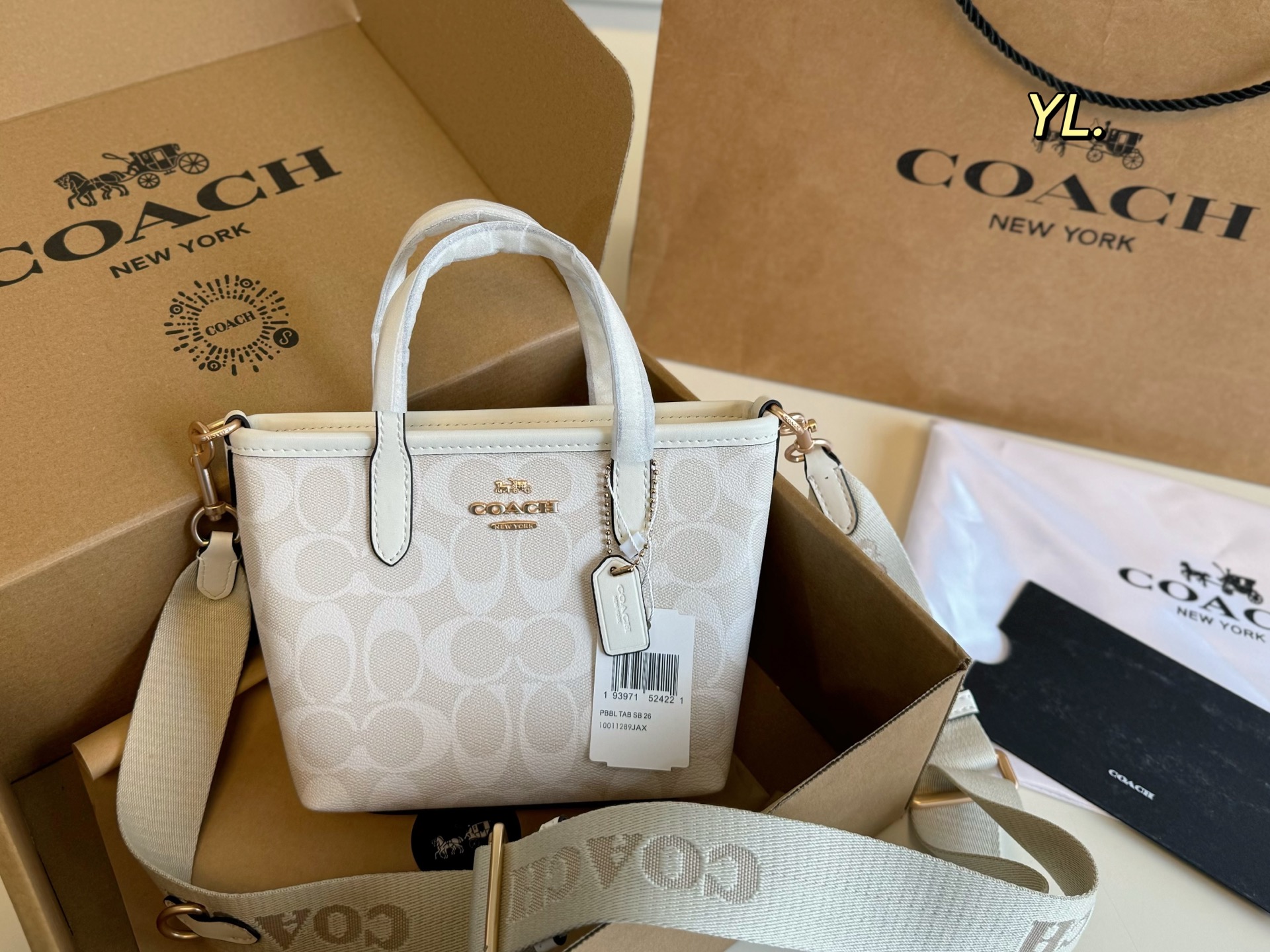 Coach's new City mini tote bag - cnluxepick