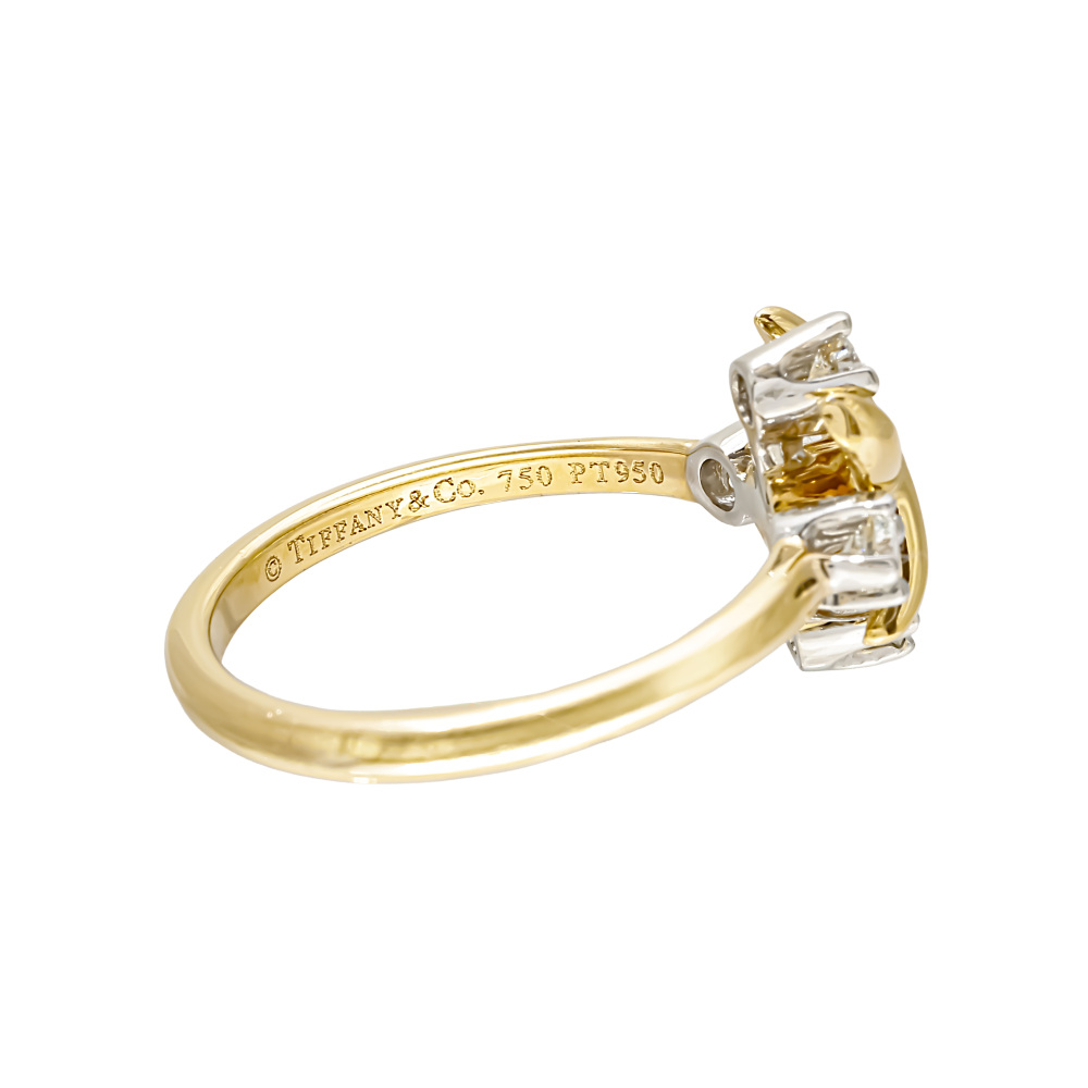 Tiffany & Co. Jean Schlumberger Rin Ring Platinum & 18K Yellow Gold Diamond