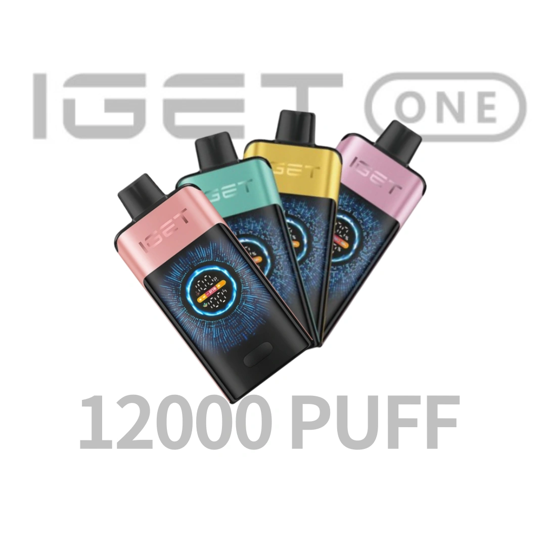 IGET ONE 12000 Puffs Disposable Vape|3-5-10pcs