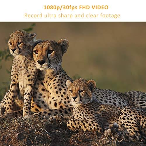 OUDMON Trail Game Camera 30MP 1080p 30FPS FHD Waterproof IP67 Hunting Scouting