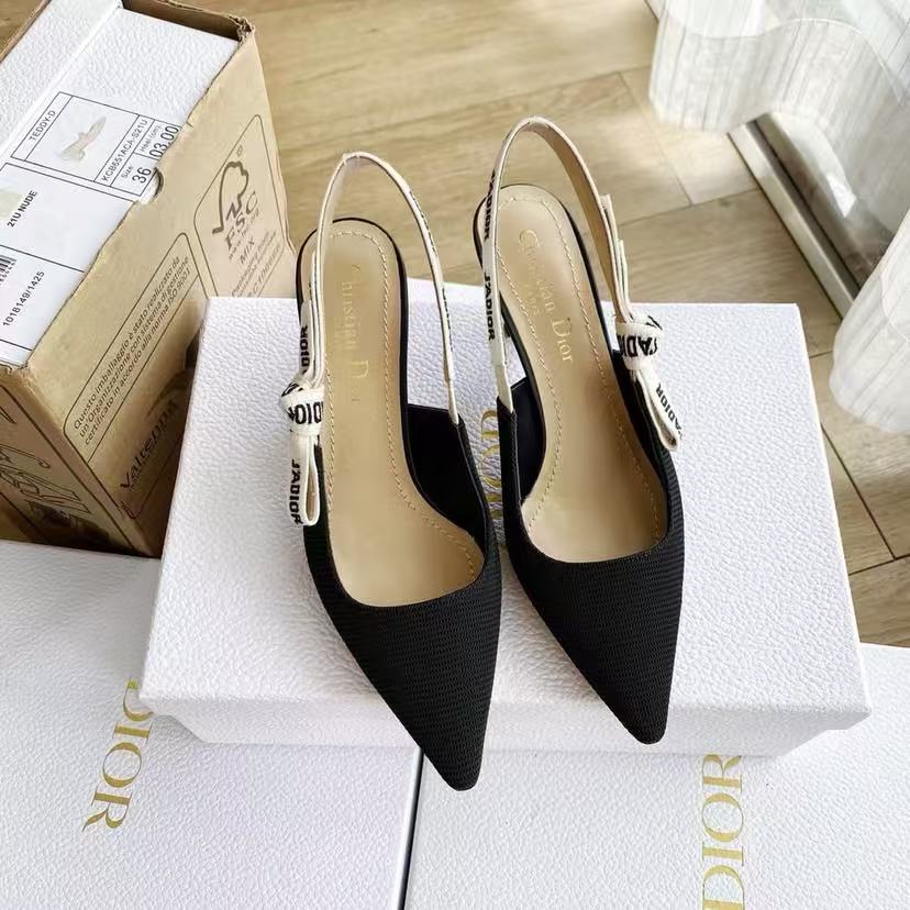 Dior embroidered high heels - cnluxepick