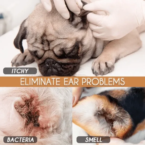 Pet Ear Powder
