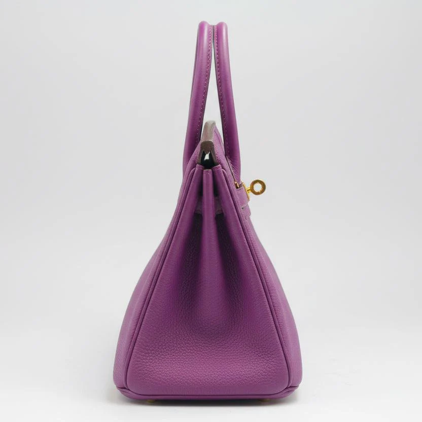 Hermès Birkin 25 Anemone Togo with Gold Hardware