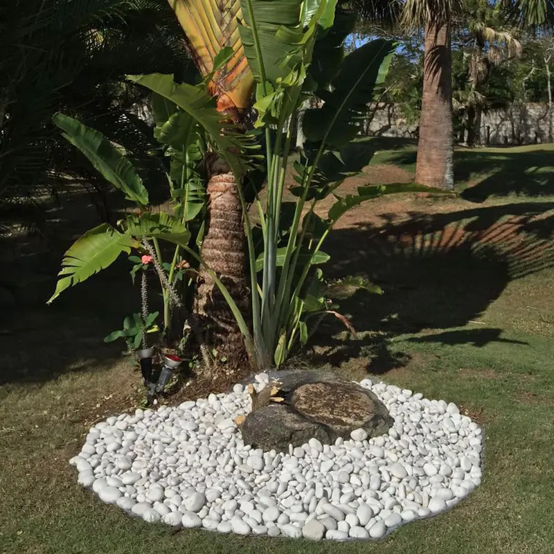 Rainforest, Outdoor Decorative Stones, Caribbean Beach Pebbles, White, 1-2″, 900lbs.