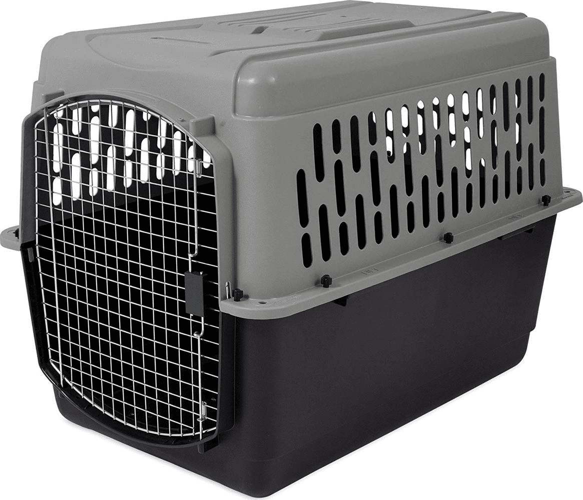 Aspen Pet Traditional Pet Porter, 40