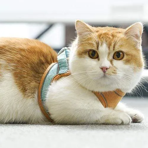 Escape Proof Cat Vest Harne