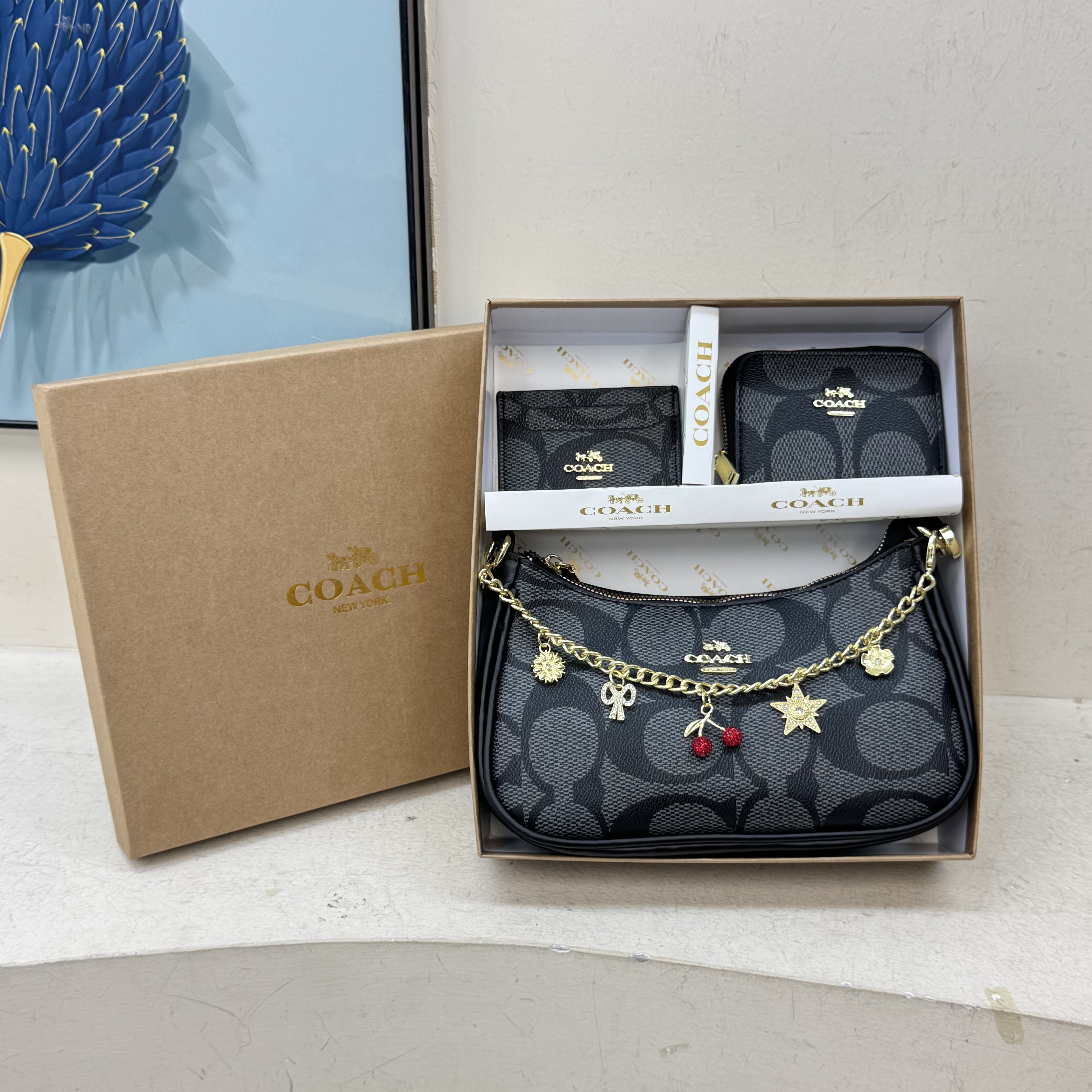 Coach Box Collection Pack - cnluxepick