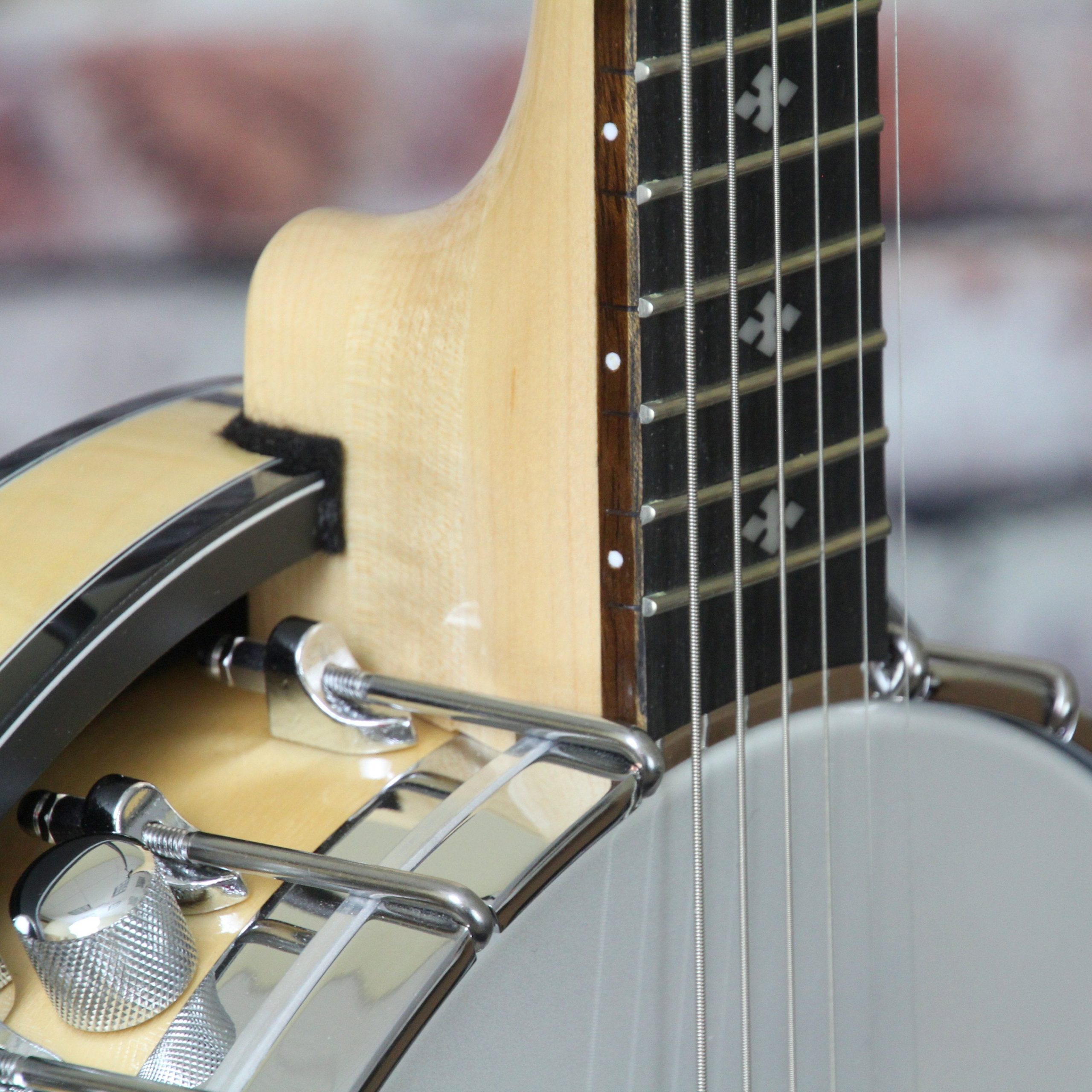 g Gold Tone GT-500 Professional 6-String Banjitar