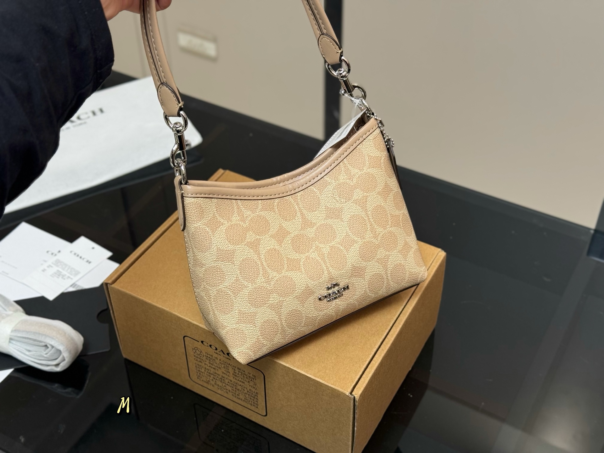 Coach mini Laurel Hobo Bag - cnluxepick